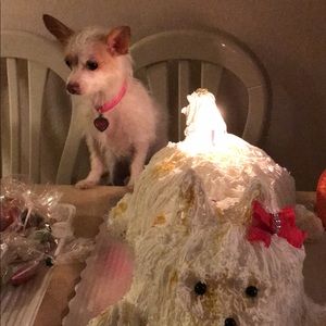 Meet your Posher, Maria